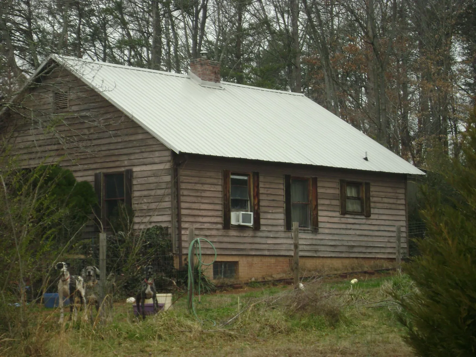 White metal roof on an old wood sided farmhouse, from a Asphalt Shingle Roof Repair job in Fredonia